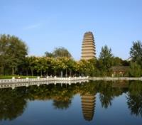 The Wild Goose Pagoda